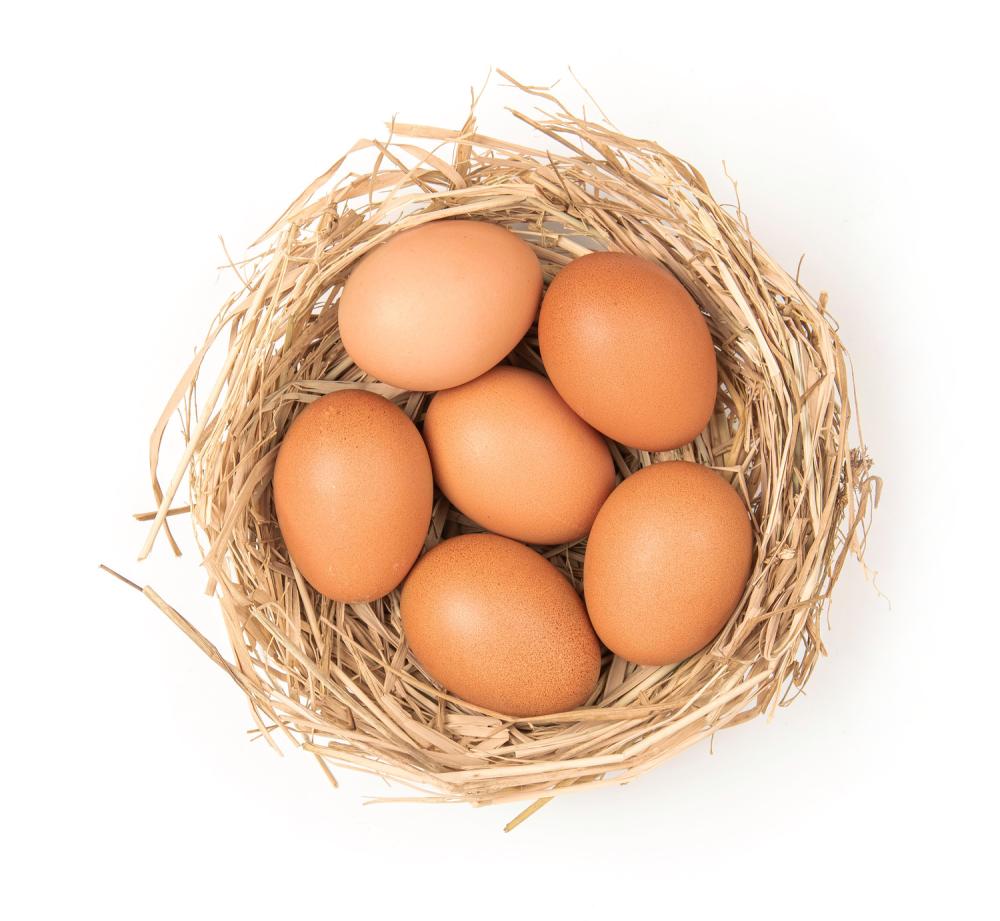 oeufs